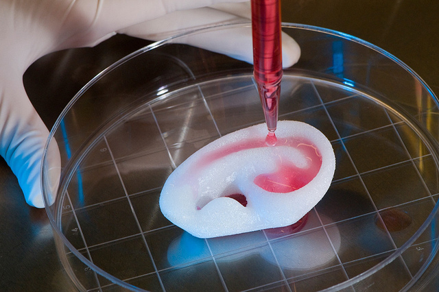 Army medicine tissue engineering bioreactor ear