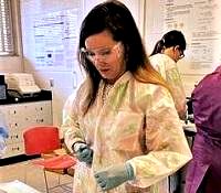 Gainesville FL teacher MacKenzie McNickle isolates rat tail collagen in University of Florida RET program