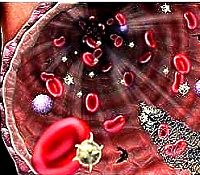 illustration of blood in artery
