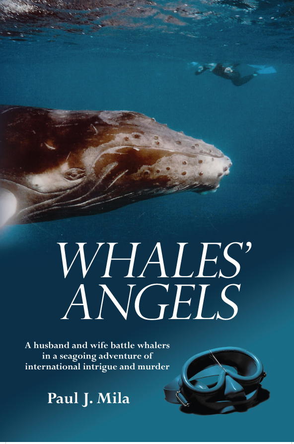 WHALES' ANGELS Cover