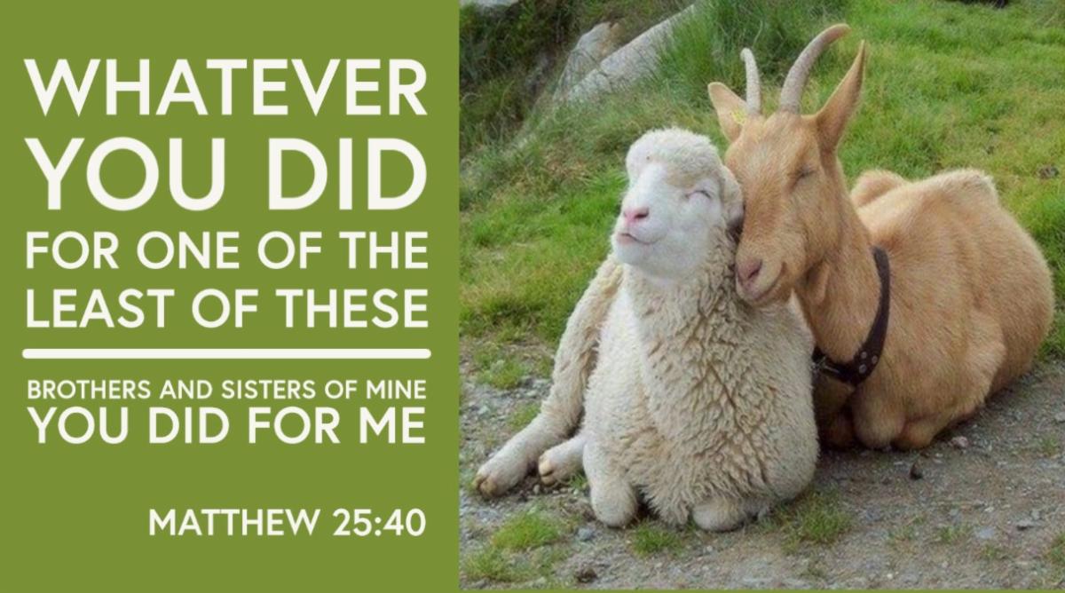 Asbury Alive Newsletter July 24, 2022