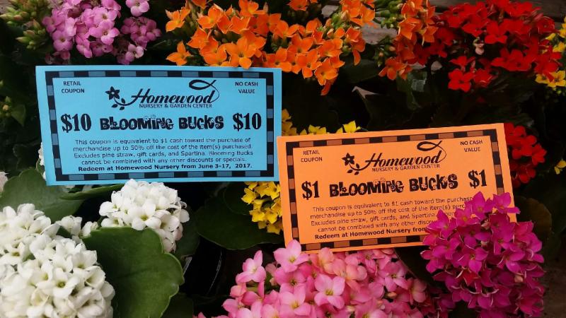 Blooming Bucks Time Save The Date 50th Anniversary Pollinator Greetings From Homewood Nursery I T S That Time To Redeem Your Blooming Bucks June 3rd 17th