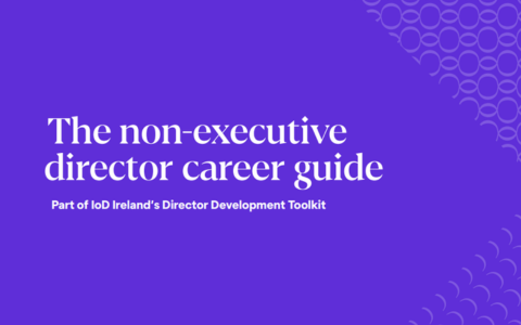 The image has a purple background with white text that reads The non executive director career guide. Part of IoD Irelands Director Development Toolkit. Circular patterns are visible in the top right and bottom right corners of the image. There are no people or additional elements present.