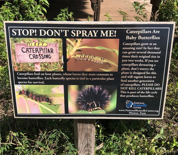 Master Gardener Newsletter August a Master Gardener Class