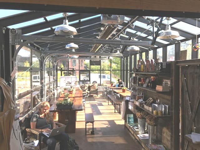 inside greenhouse sunny day 5 3 17.jpg