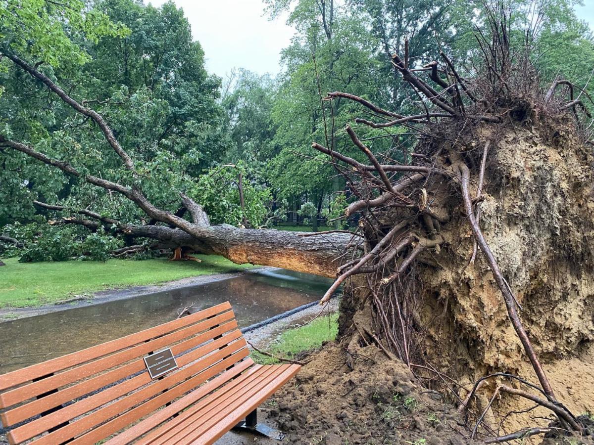 Olander Storm Damage