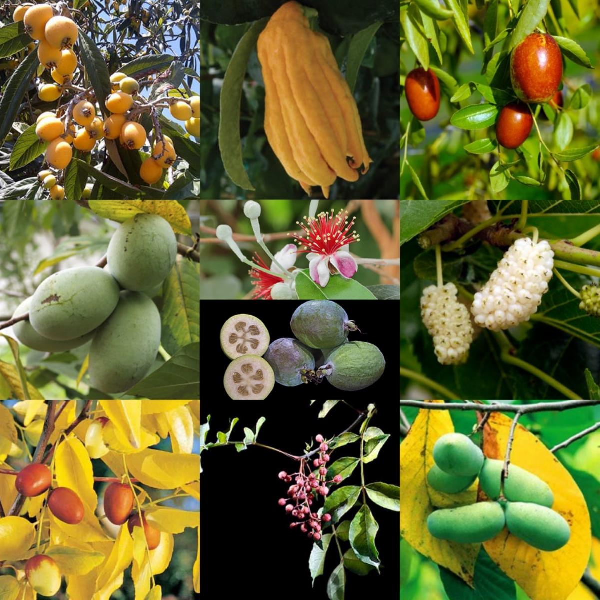 3c2c4747-337f-4617-91fb-c29081e6bd75 image