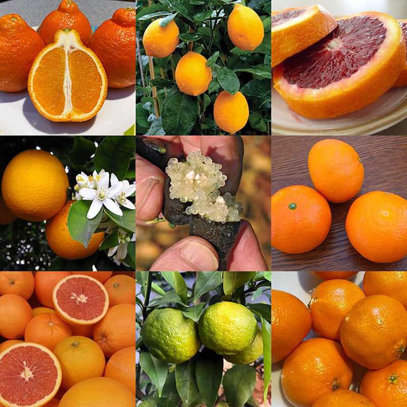 4f661d22-1ebf-4ce5-8bee-810ab77e4eca image