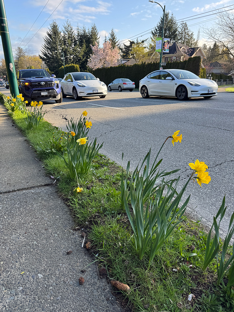 9b281769-ac58-429f-bdd7-96064082b3c7 image