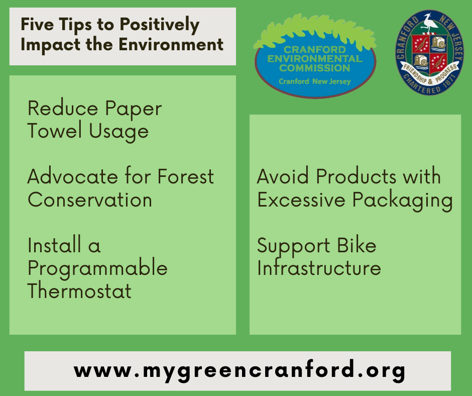 5 eco tips from environmental commission