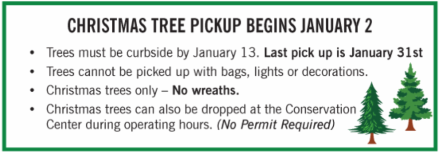 Christmas Tree Pickup