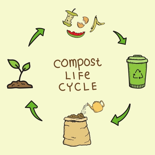 Compost life cycle infographic doodle hand drawn style. Composting process with organic waste_ dust bin and compost box vector illustration.