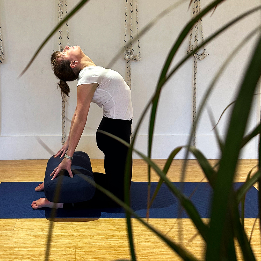 Jenny-May While in ustrasana at Hereford Yoga Centre