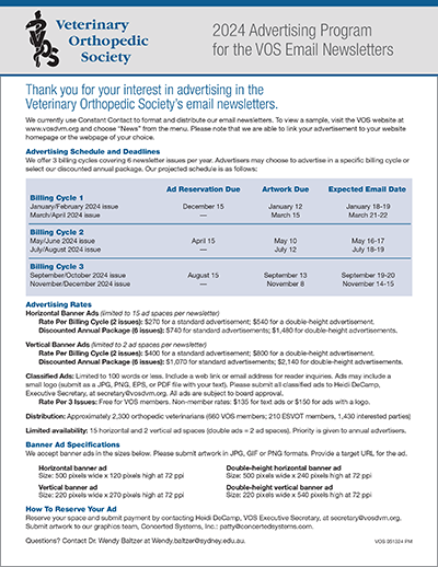 VOS Advertising Program for Email Newsletters 2024