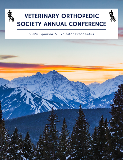 VOS 2025 Sponsor Prospectus graphic