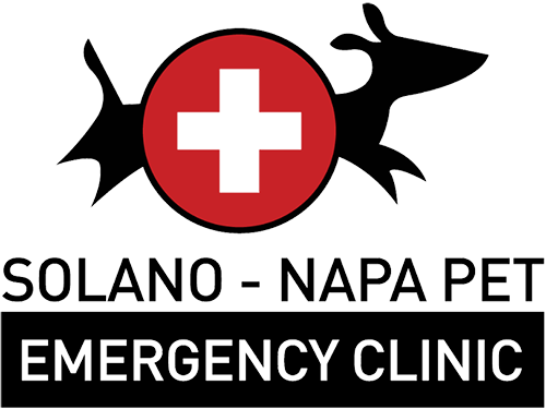 Fusion Veterinary Orthopedics logo