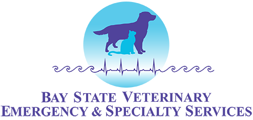 Bay State Veterinary Emergency & Specialty Services logo