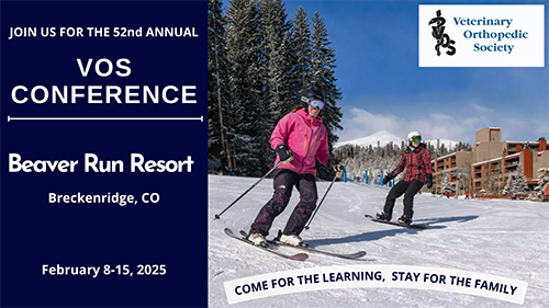 VOS 2025 Conference slide