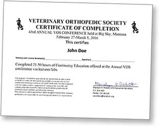 VOS 2016 conference certificate