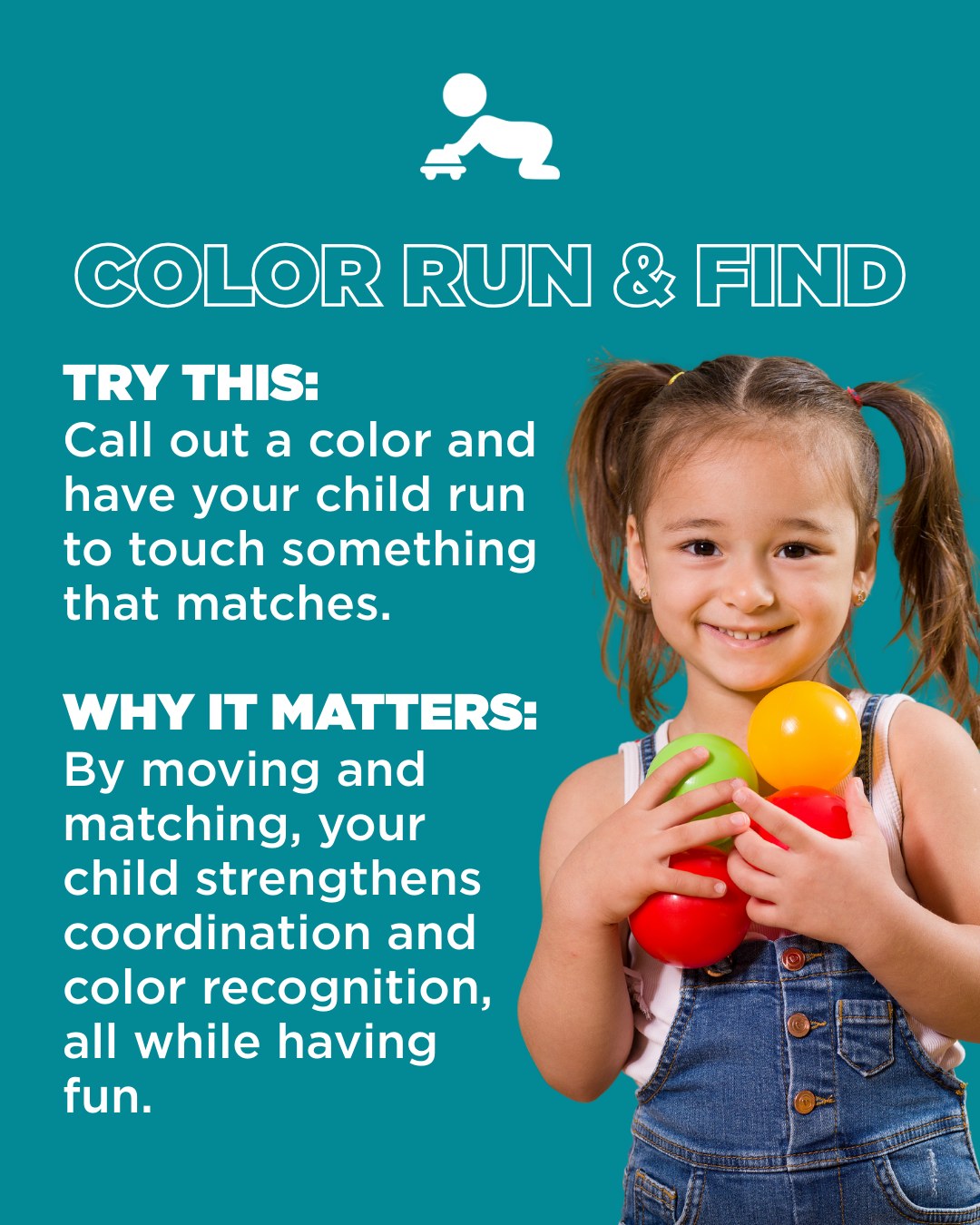 The Basics Color Fun