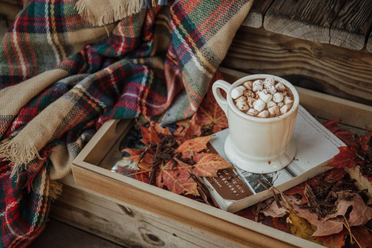 Hot chocolate with marshmallows sitting on top of a book indicating a cozy setting for the autumn season.