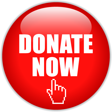 donate now button.png