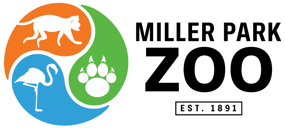 Check out what's happening at Miller Park Zoo