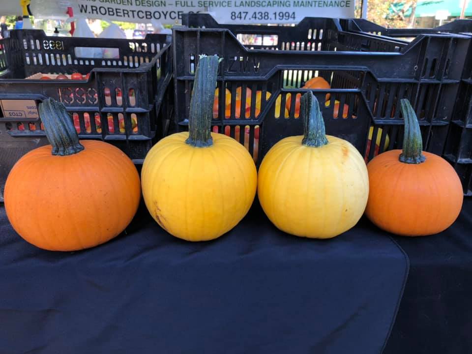 RFM MIchigan Peaches from KK Farms.jpeg