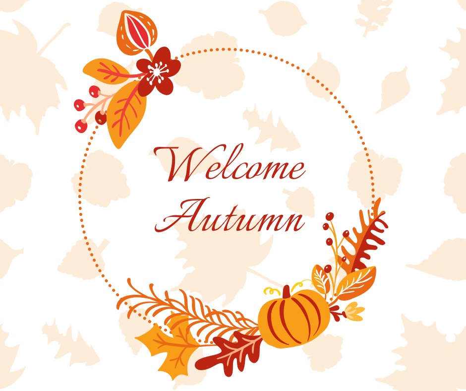 Autumn Newsletter!