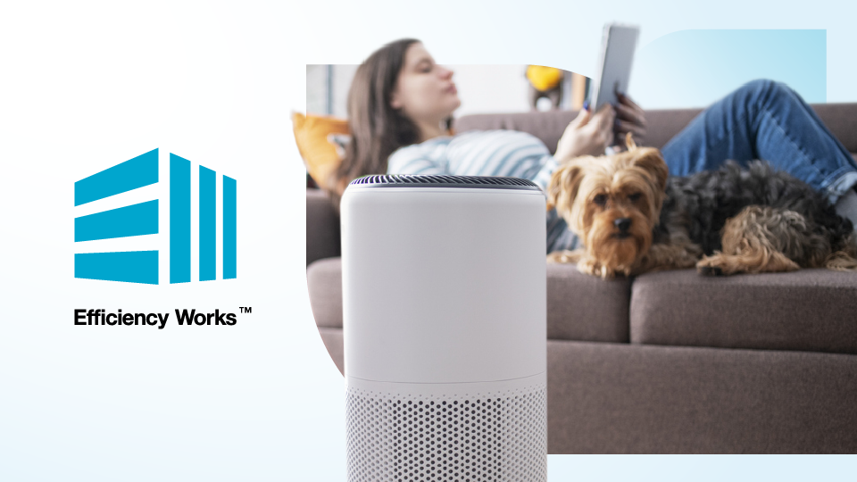 A woman and a dog relax on a couch. There is an air purifier in the foreground and the Efficiency Works logo.