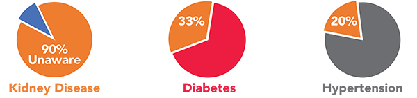 Chronic kidney disease facts and risk factors