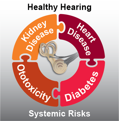 Connection among kidney disease, diabetes, cardiovascular health and hearing
