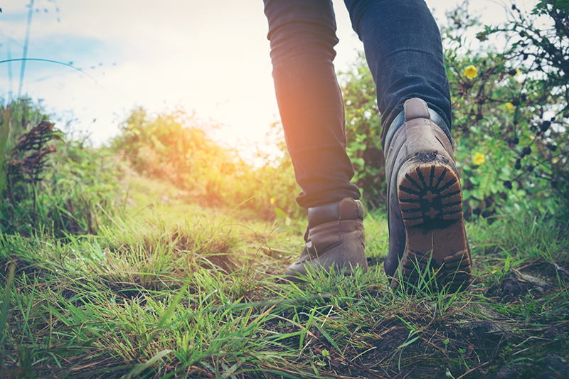 Walking through summer grass as an illustration of repeated hearing damage