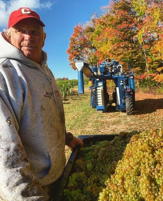Hosmer Winery’s Vineyard celebrates 50 years of growing Hosmer Winery’s Vineyard celebrates 50 years of growing