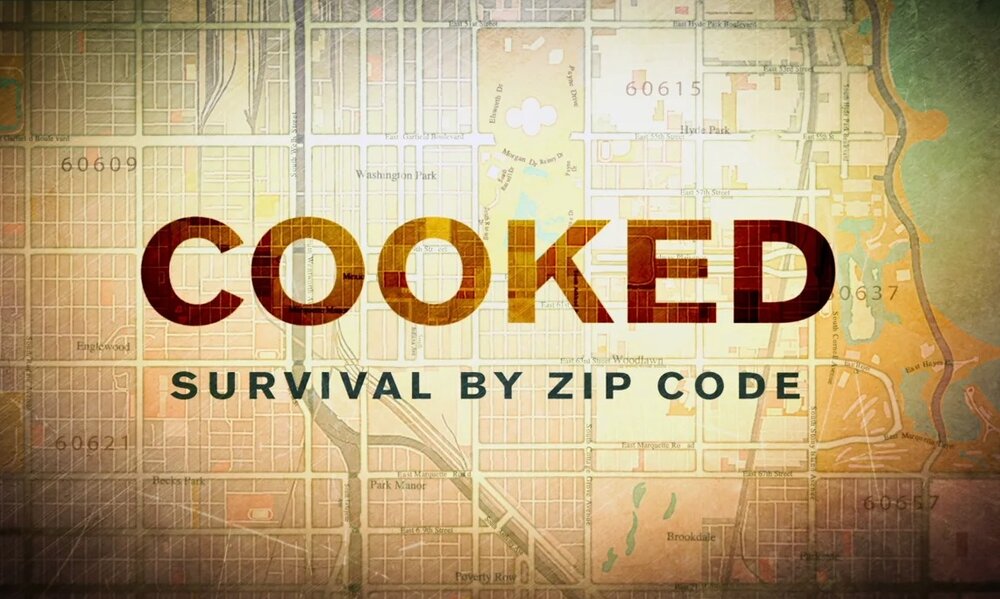 Cooked: Survival By Zip Code poster