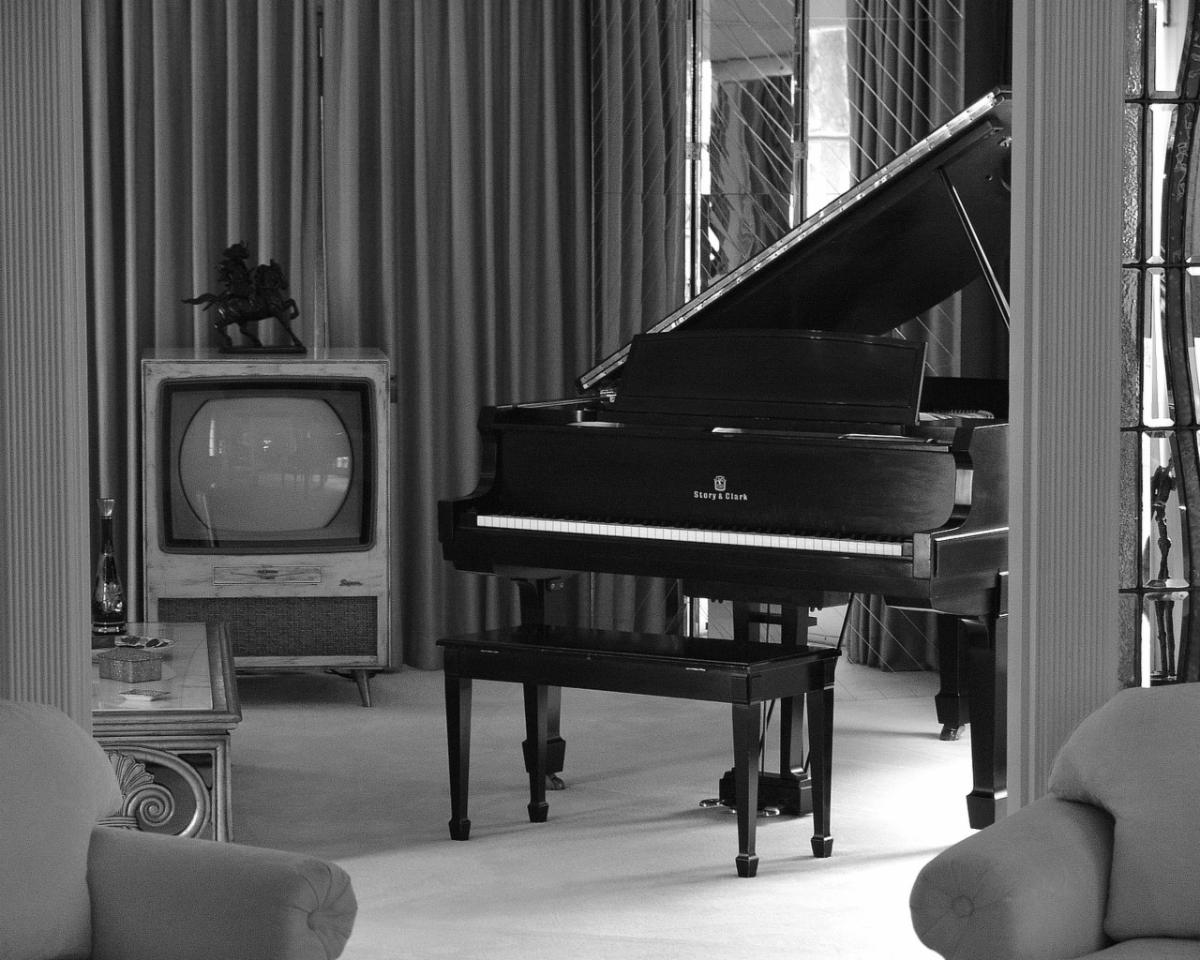 graceland-g847bb40d9_1280.jpg