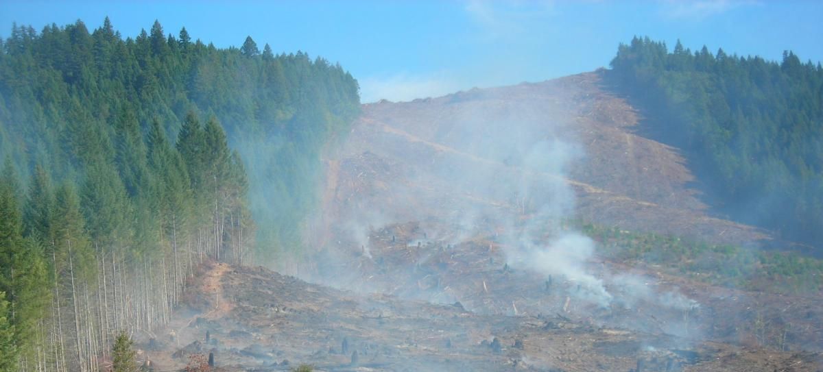 Oregon clearcut by George Sexton