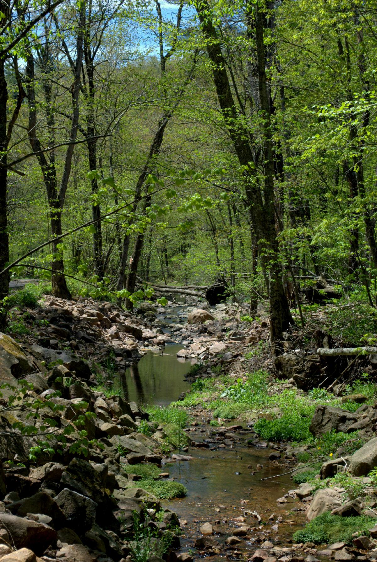 Baxter's Hollow