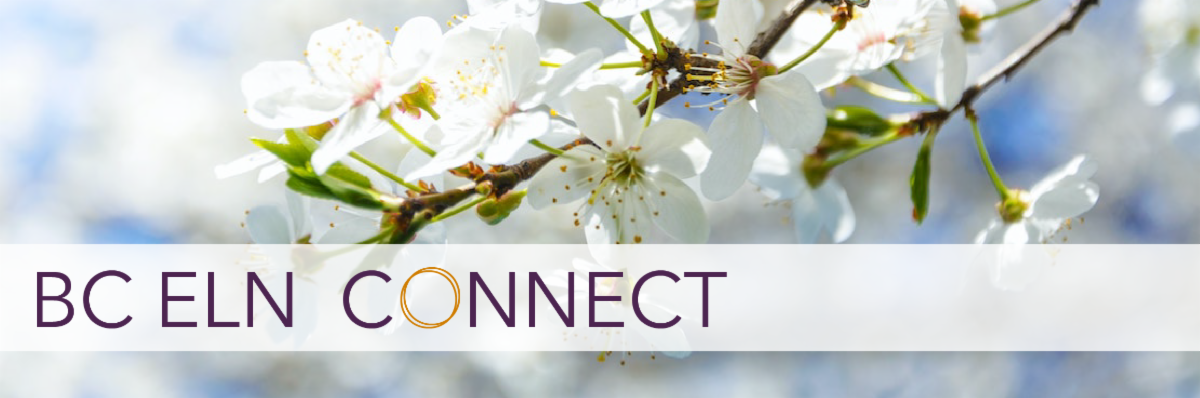 Close up of white cherry blossoms against a blue sky. Text overlay reads BC ELN Connect