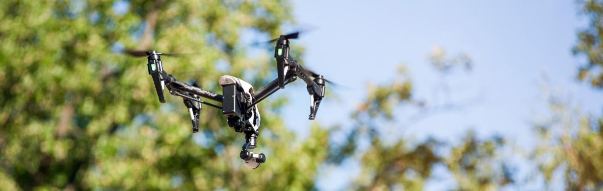 drone near tree