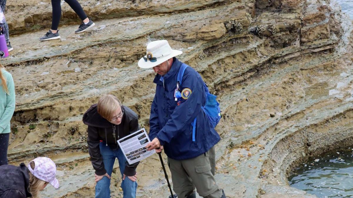 VIP Dan Weider points out information on the tidepools' creatures to a visitor. The rocks behind the pair are swarming with visitors, and the green waters of a tidepool peek from the right. 