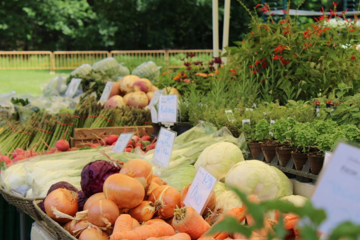 a collection of fruits and vegetables on display at the lexington farmers market