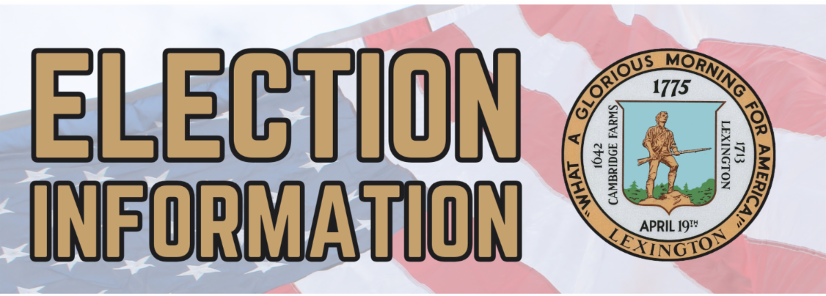 election information banner gaphic
