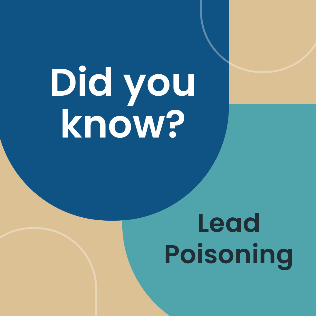 Graphic with text that reads Did You Know and Lead Poisoning