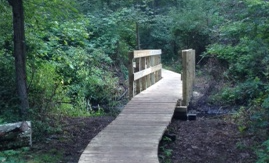 Photo of footbridge at Dunback Meadow