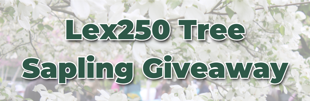 Lex250 tree giveaway