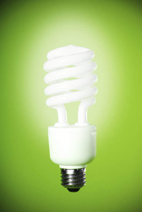 energy_saving_bulb.jpg