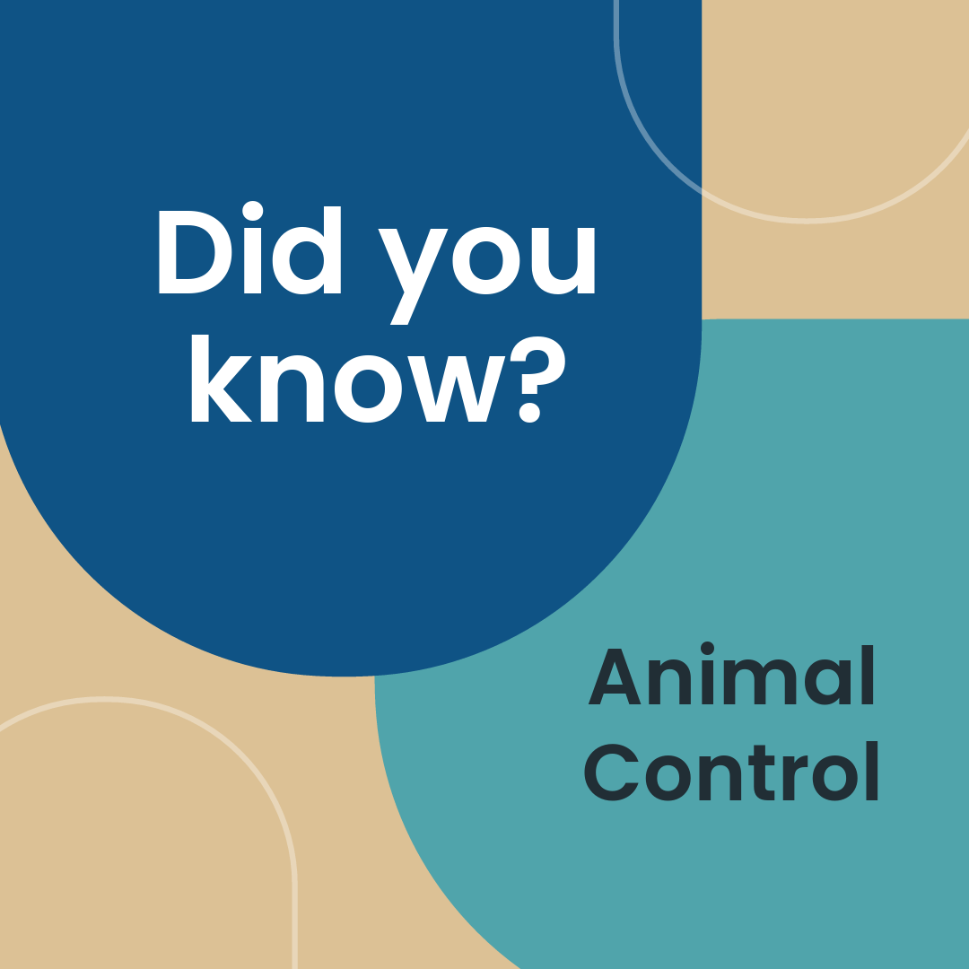 Did You Know graphic with theme of Animal Control