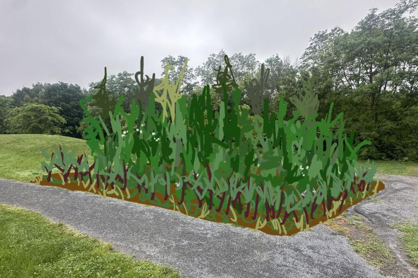Mock up of the Lincoln Park Pocket Forest