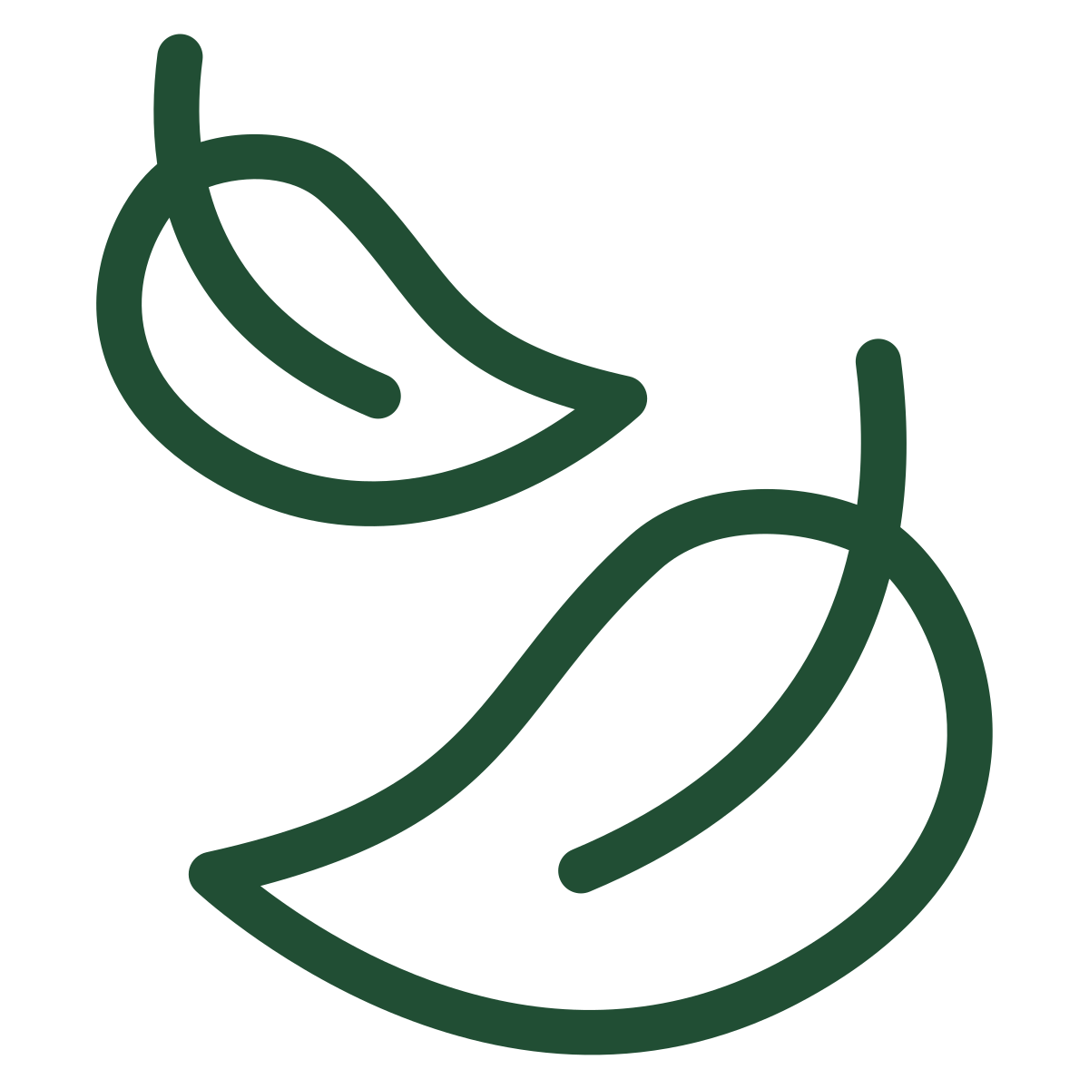 two green leaf outlines